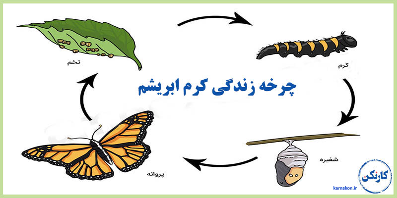 ایده های پولساز برای نوجوانان