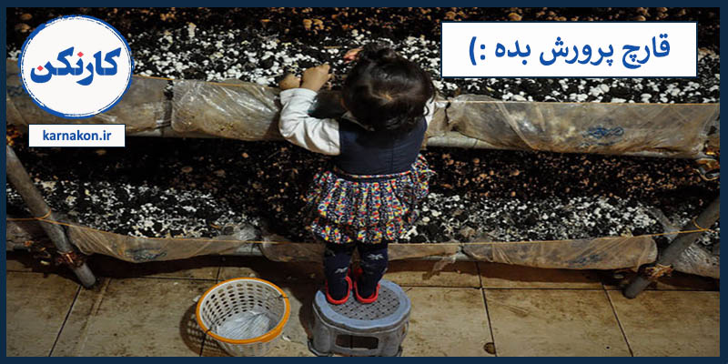ایده های پولساز برای نوجوانان