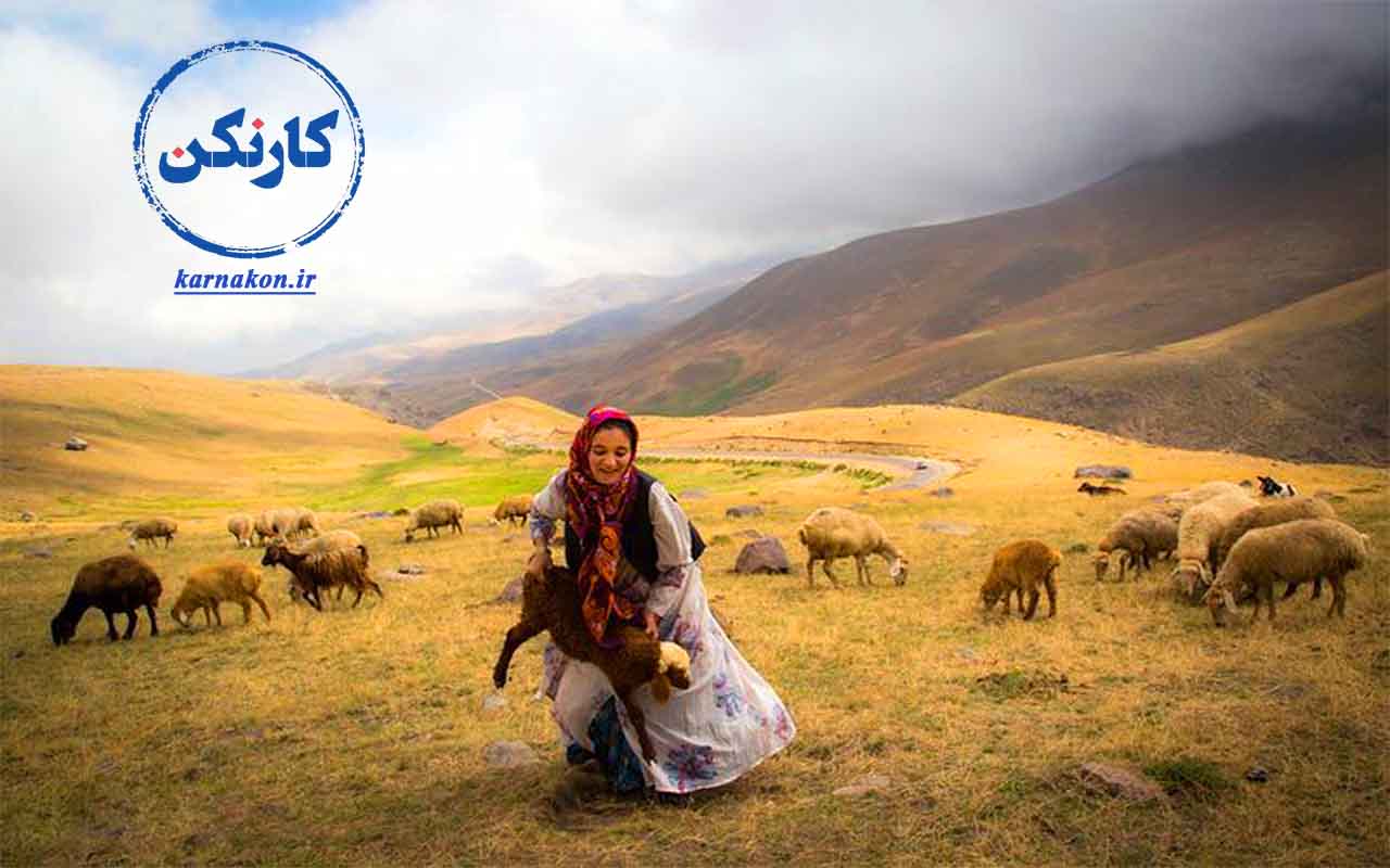 اشتغال زنان روستایی در امور مربوط به دامپروری