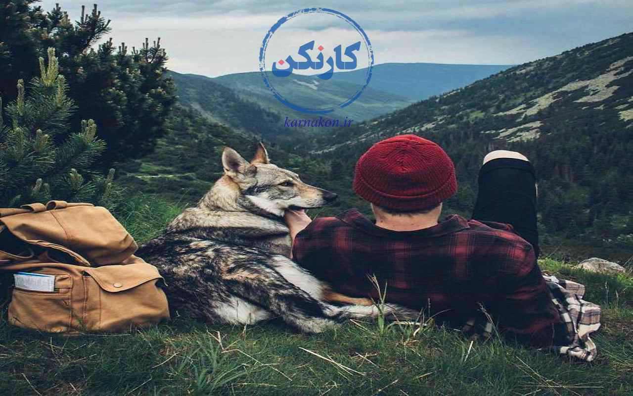 روانشناسی شخصیت - آیا حیوانات شخصیت دارند؟