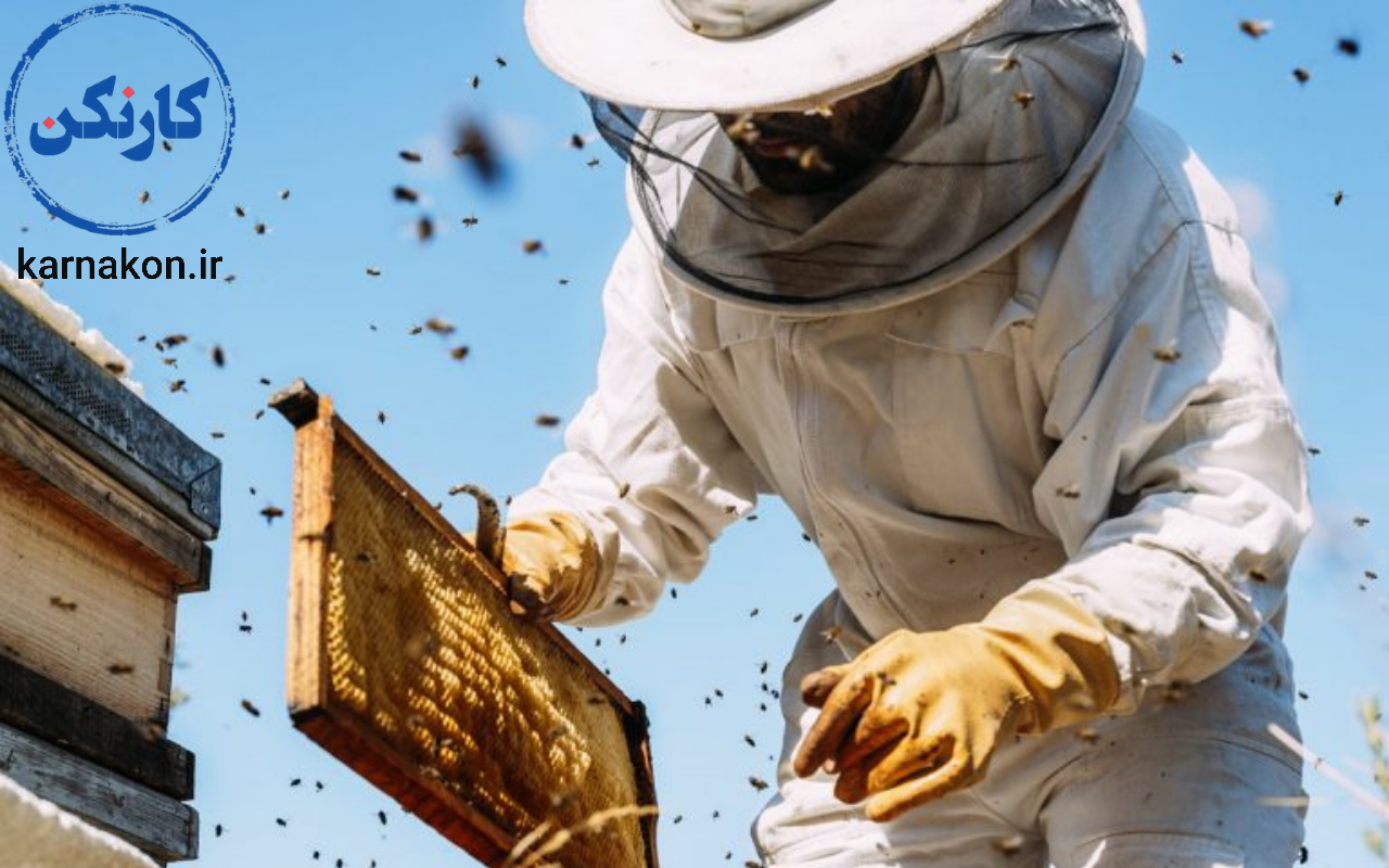پرورش زنبور عسل یکی از مشاغل پردرآمد روستایی
