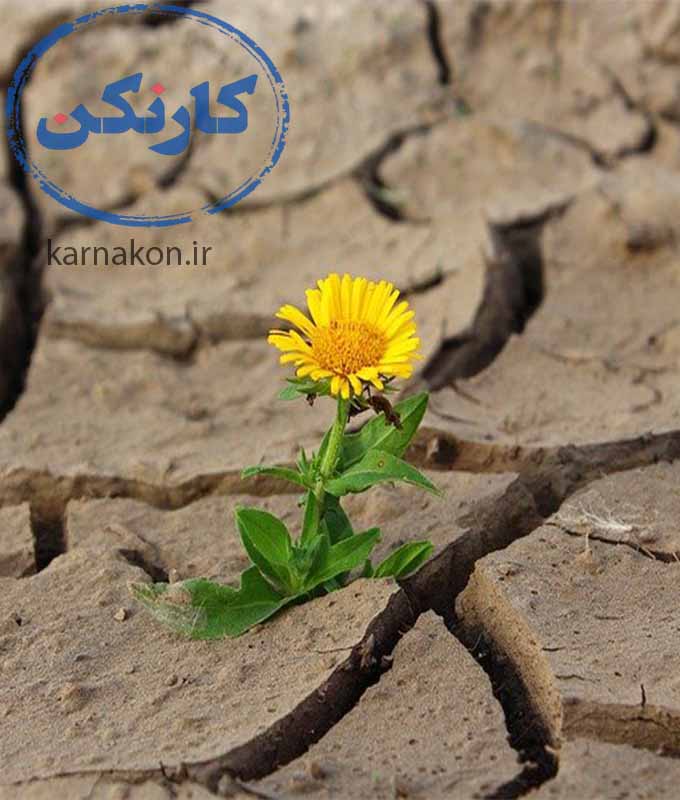تست هوش و استعداد شغلی