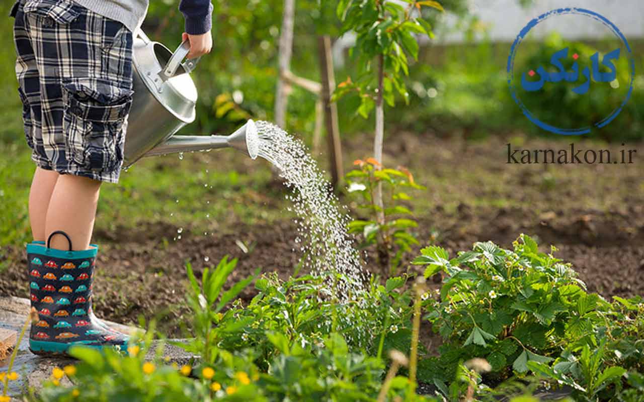 باغبانی در فهرست بهترین کار برای بچه ها در تابستان