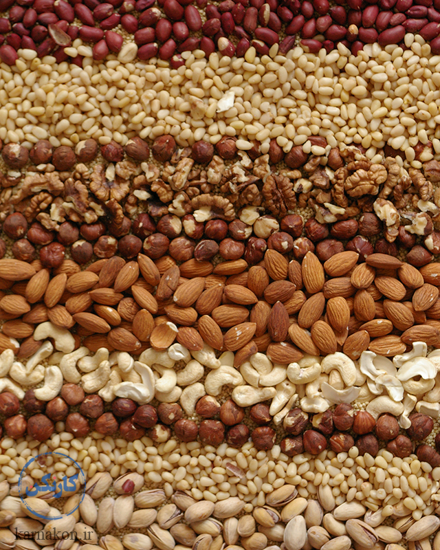 راه اندازی مغازه آجیل و خشکبار