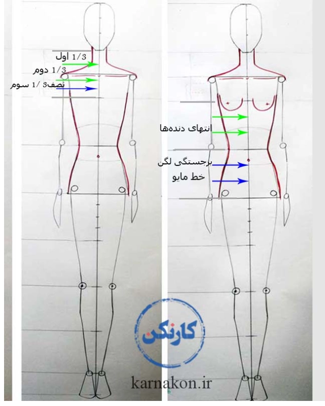 ماهیچه ای کردن فیگور