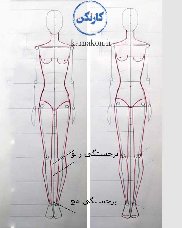ماهیچه فیگور