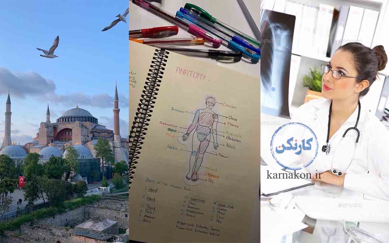 سه بخش مجزا اما مرتبط شامل مسجد ایاصوفیه ترکیه و یک زن پزشک با گوشی پزشکی درحال نگاه کردن به عکس رادیولوژِی و جزوه آناتومی مربوط به رشته پزشکی 