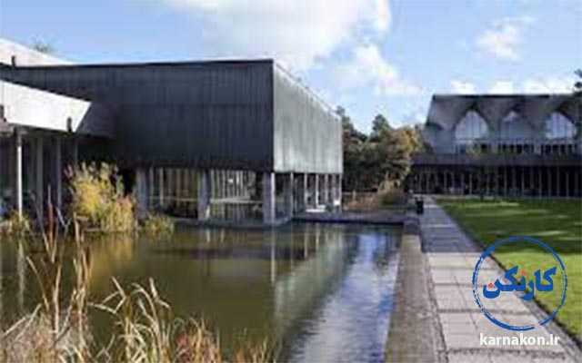 دانشگاه فنی دانمارک